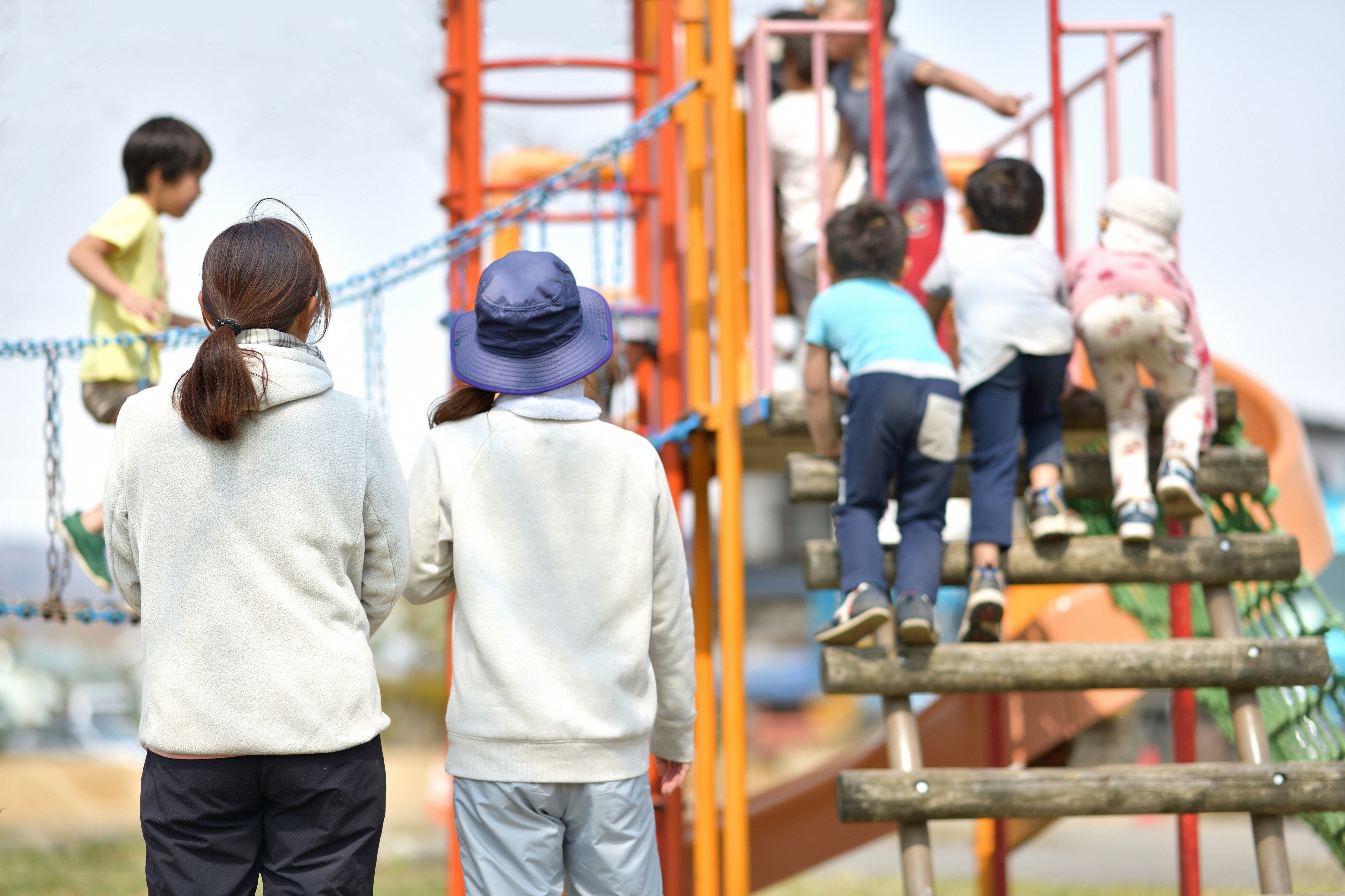 保育園や幼稚園で配られた保険に入るかどうかは何で判断する？