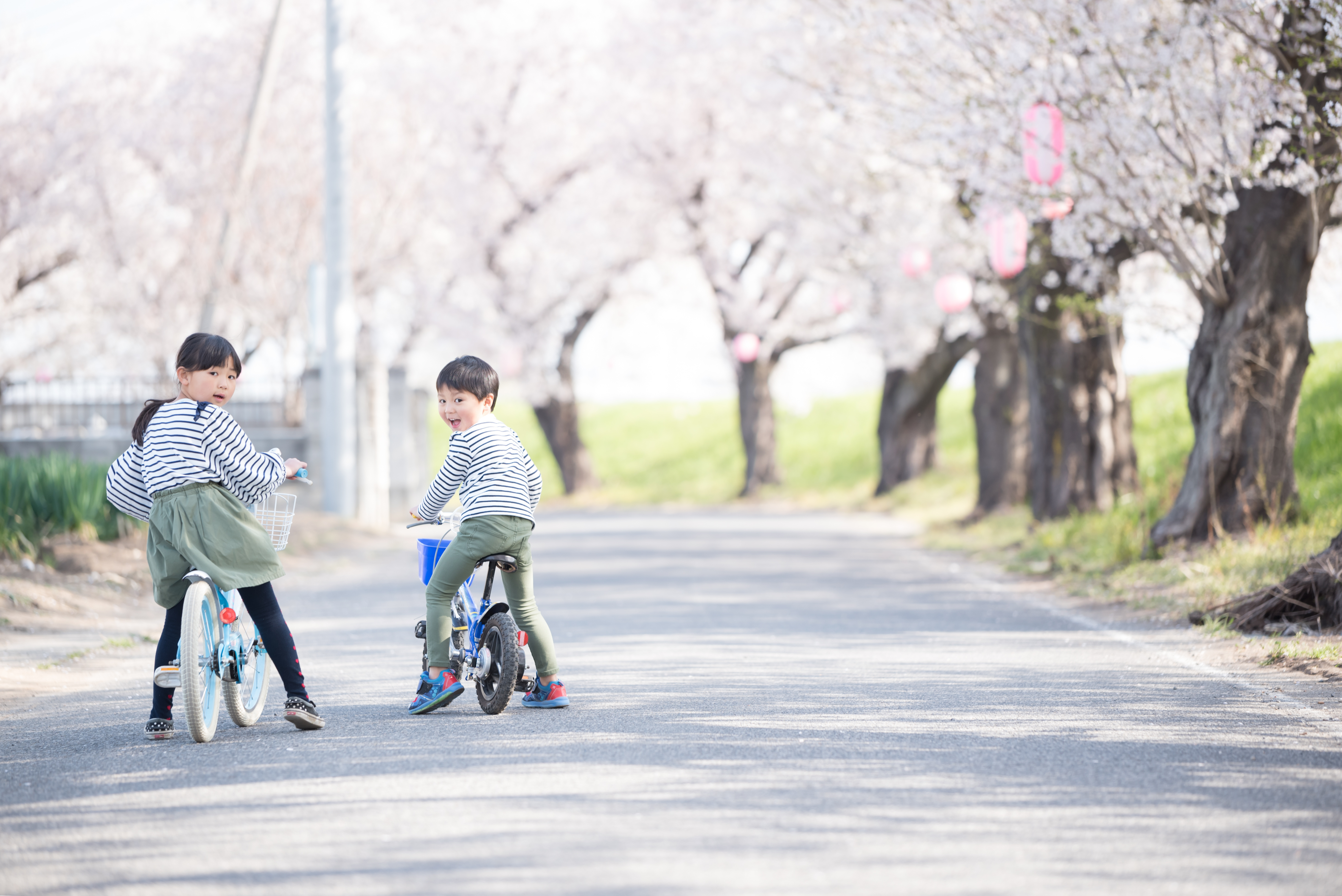 子どもの自転車保険
