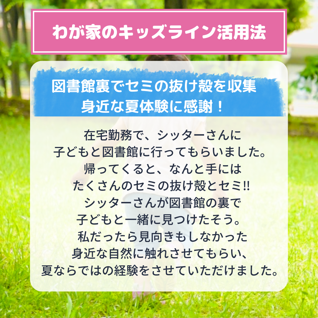 セミの抜けがら
